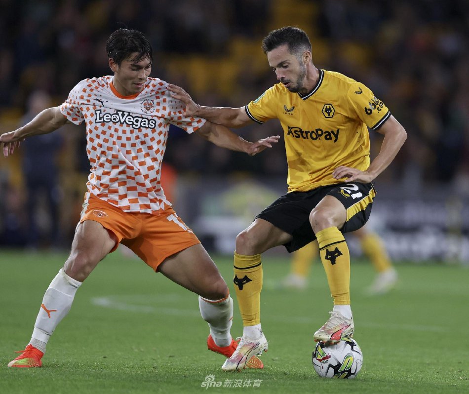 守与蓝领角 守与蓝领角